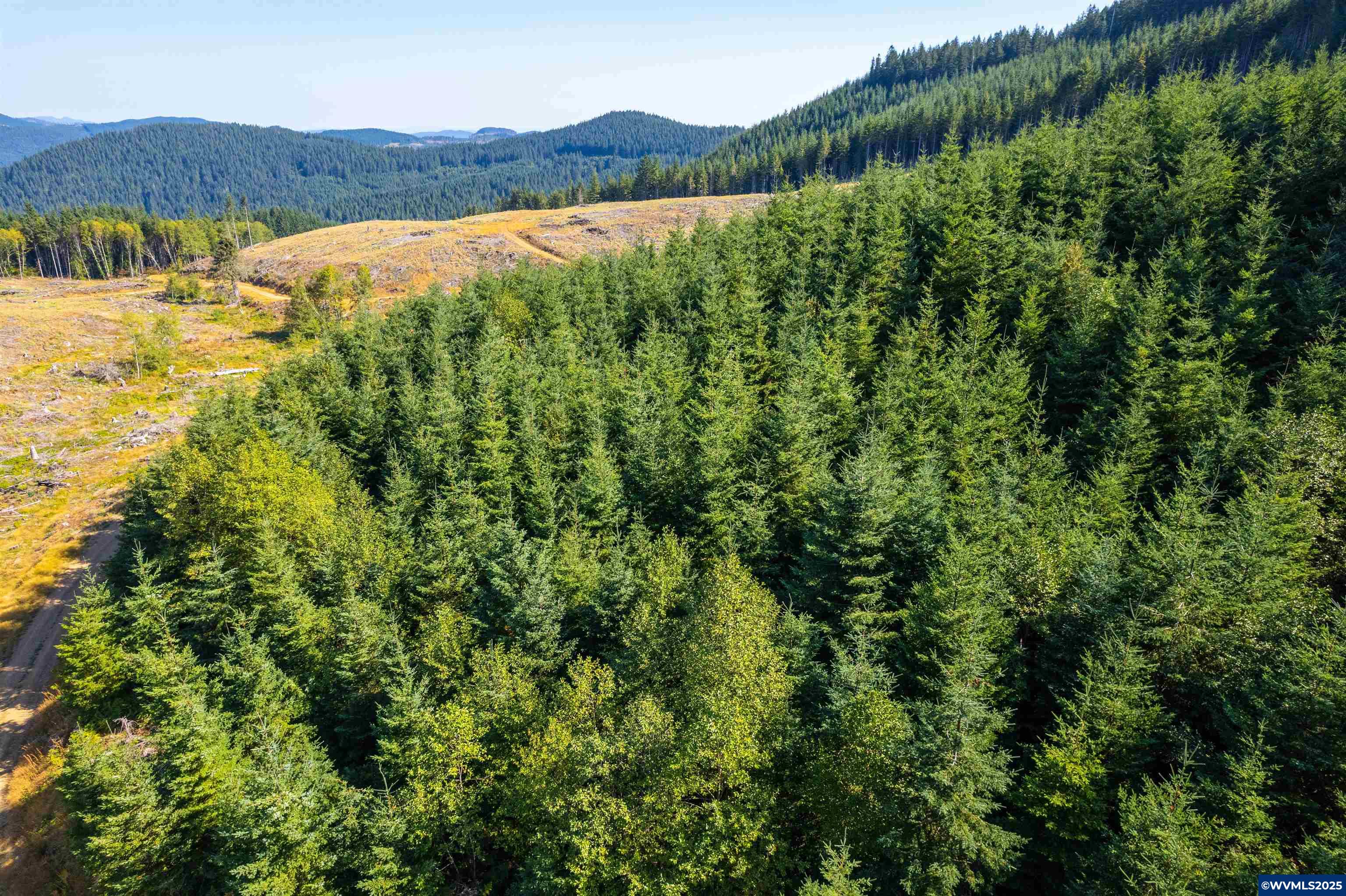 0 Bald Mountain Access Road Willamina, OR 97396 - Photo 6 of 30