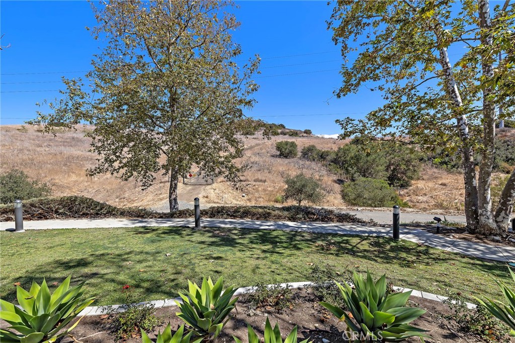41 Adelfa Street Rancho Mission Viejo, CA 92694 - Photo 18 of 47 Gallery Image 18