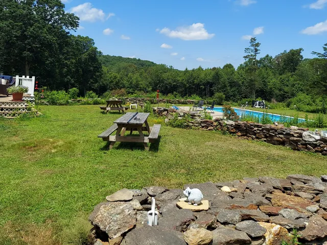 a view of a green field with lots of bushes