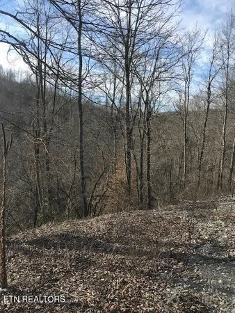 $220,000 | 27 East St Sunbright Tn 37872, Sunbright, TN 37872