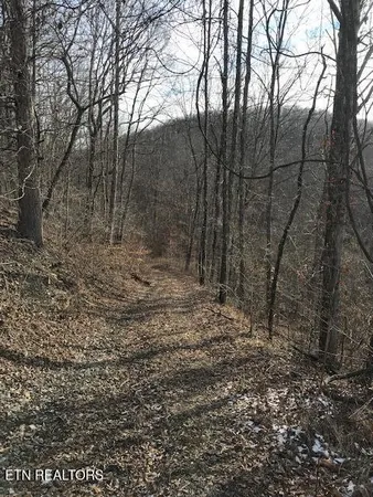 $220,000 | 27 East St Sunbright Tn 37872, Sunbright, TN 37872