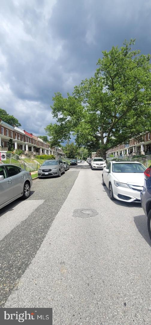 Charming street lined with leafy trees.