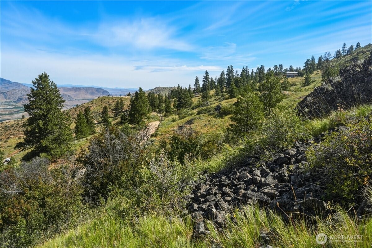 85 Eagles Nest Road Orondo, WA 98843 - Photo 17 of 36