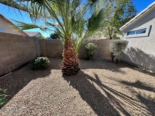 a view of a yard with plants and trees