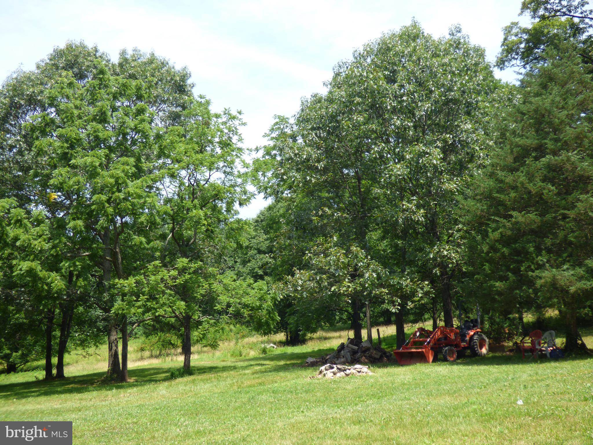 26331 Purdum Road Damascus, MD 20872 - Photo 28 of 43 Gallery Image 28
