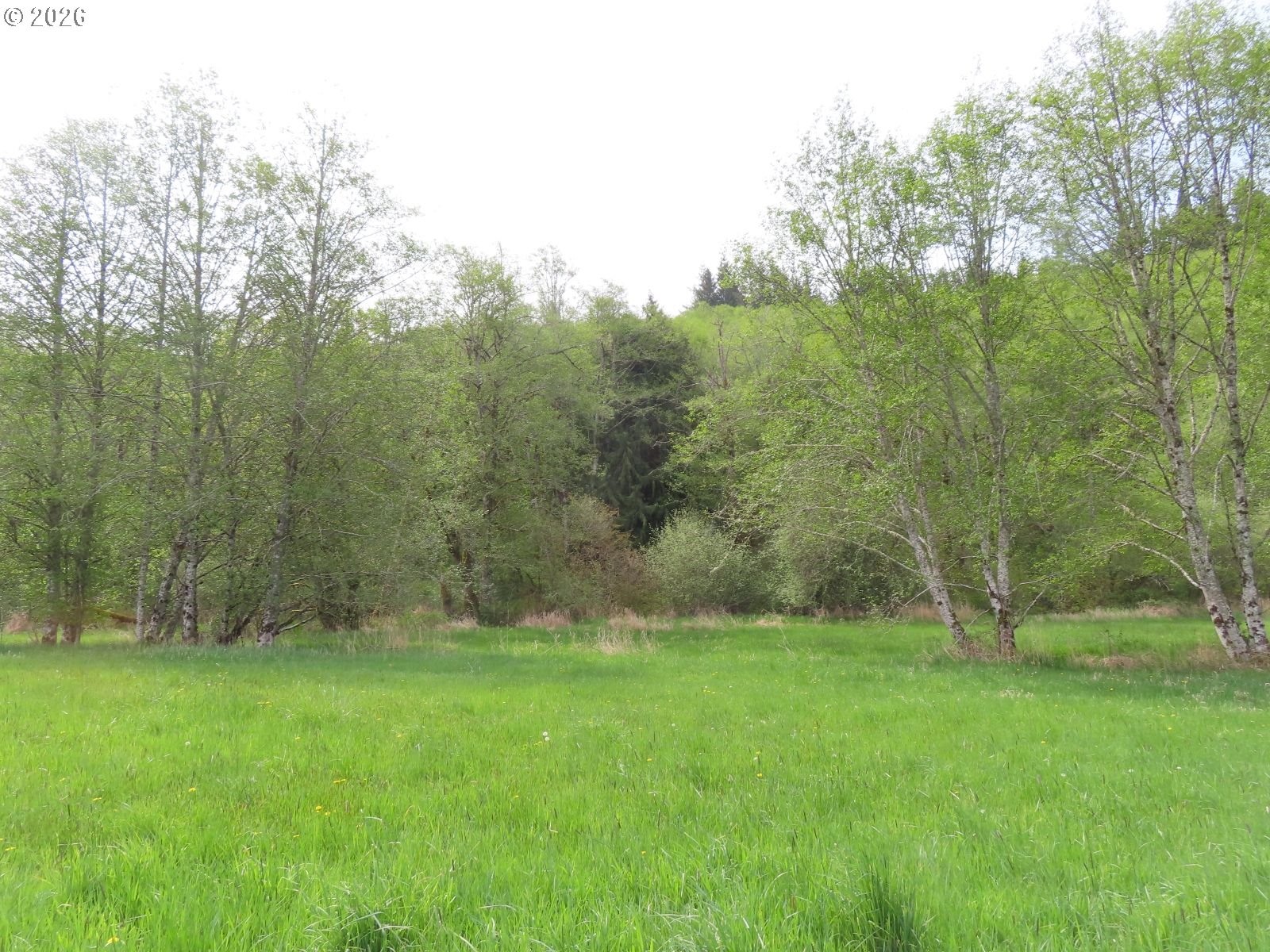 Hagen Road Mossyrock, WA 98564 - Photo 15 of 29