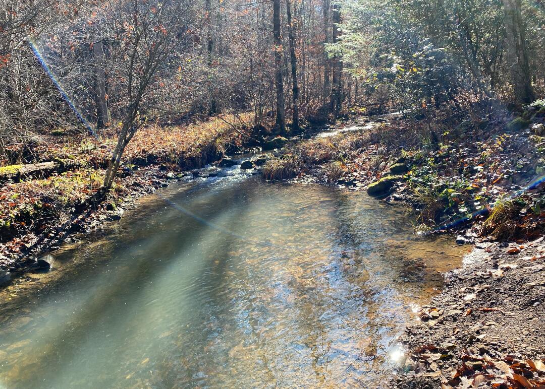 958 Low Gap Road McKee, KY 40447 - Photo 14 of 27 Screenshot_20220426-211849~2
