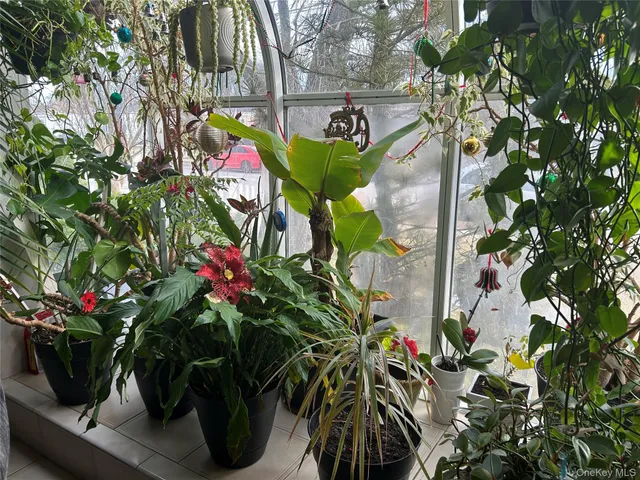 a cars parked in front of a house