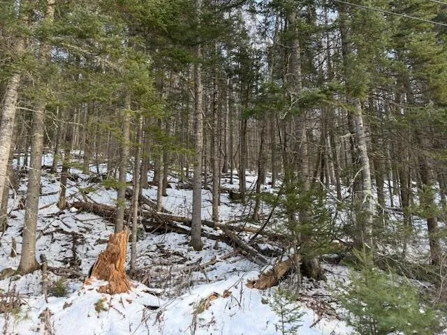 $159,900 | 90 North Center Road, Monroe, ME 04951