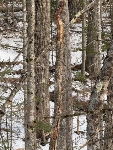 $159,900 | 90 North Center Road, Monroe, ME 04951