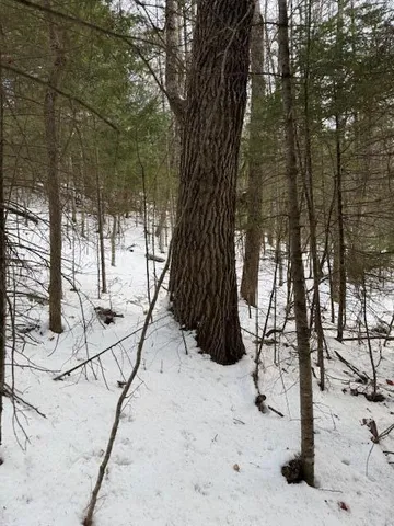 $159,900 | 90 North Center Road, Monroe, ME 04951