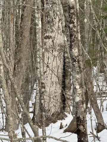 $159,900 | 90 North Center Road, Monroe, ME 04951