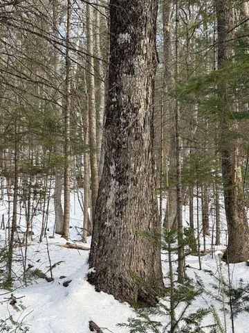 $159,900 | 90 North Center Road, Monroe, ME 04951