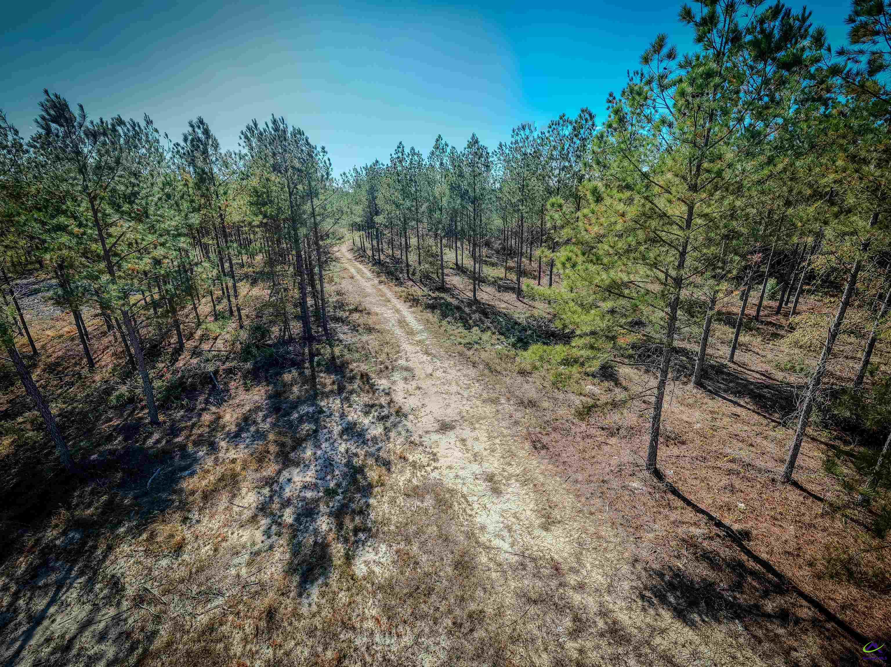 1446 Avera Road Roberta, GA 31078 - Photo 30 of 33