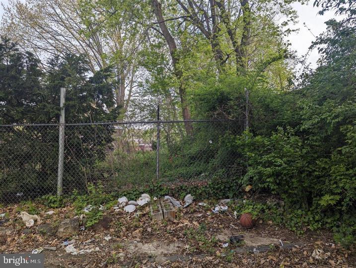 615 Mechanic Street Philadelphia, PA 19144 - Photo 2 of 2 a view of a forest with lots of trees