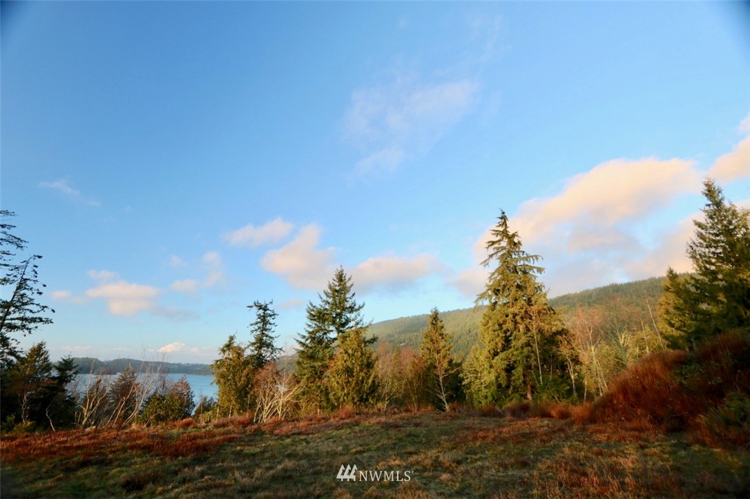 0 Chuckanut Point Road Bellingham, WA 98229 - Photo 4 of 4 a view of a lake
