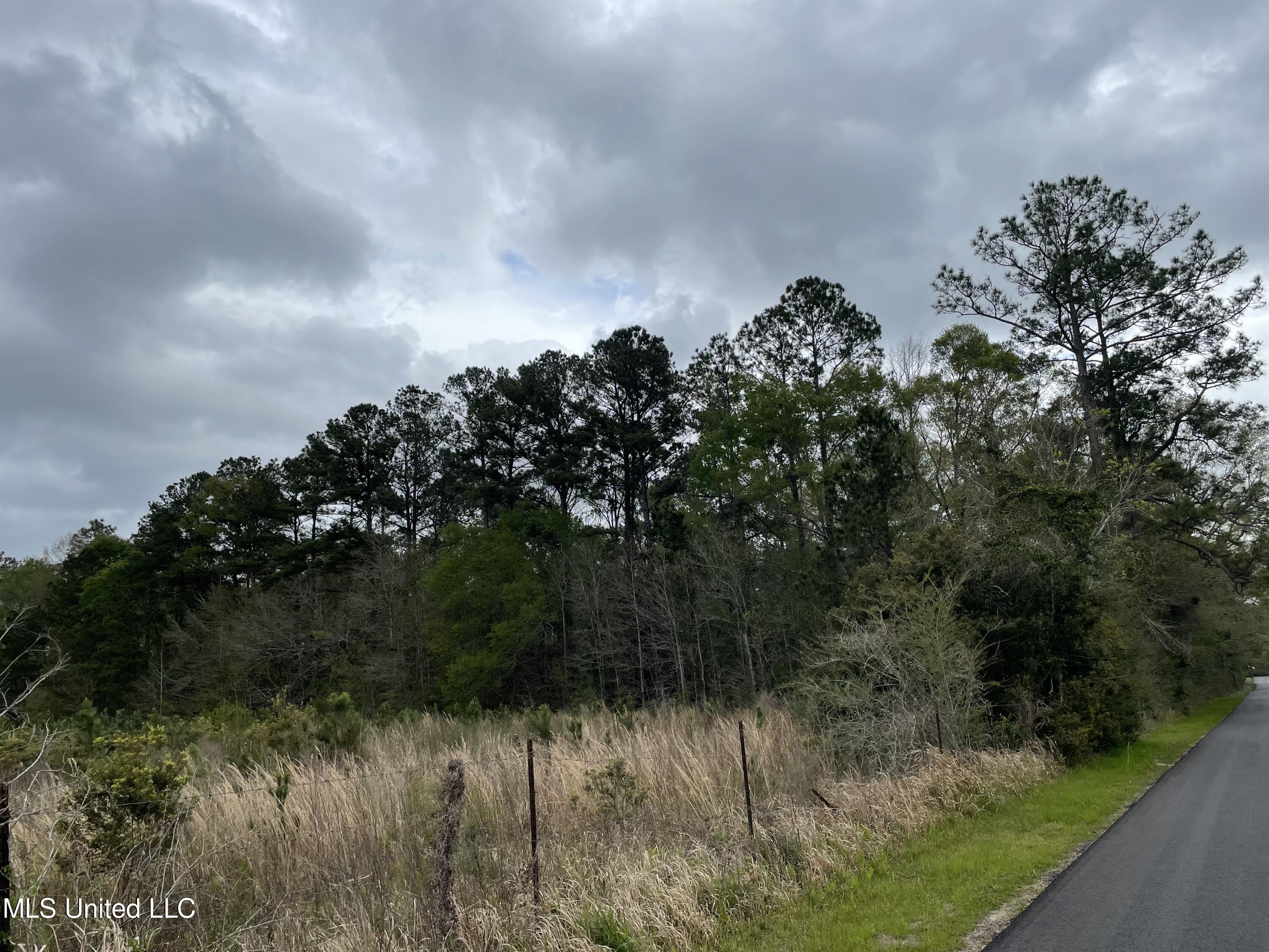 0 Horace Shumock Road Moss Point, MS 39562 - Photo 2 of 6 6764D862-DA38-4AB1-894F-F17507166E56