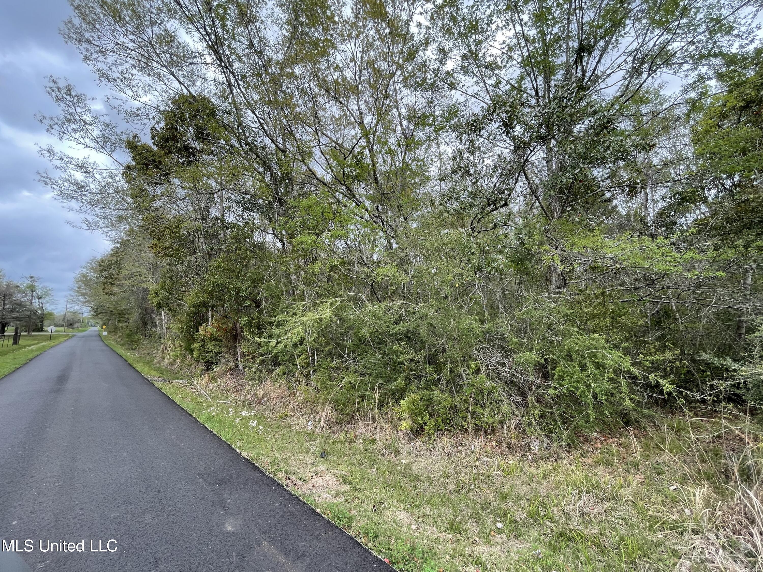 0 Horace Shumock Road Moss Point, MS 39562 - Photo 3 of 6 359C5E59-0E70-4331-BB9F-19A4426A6706