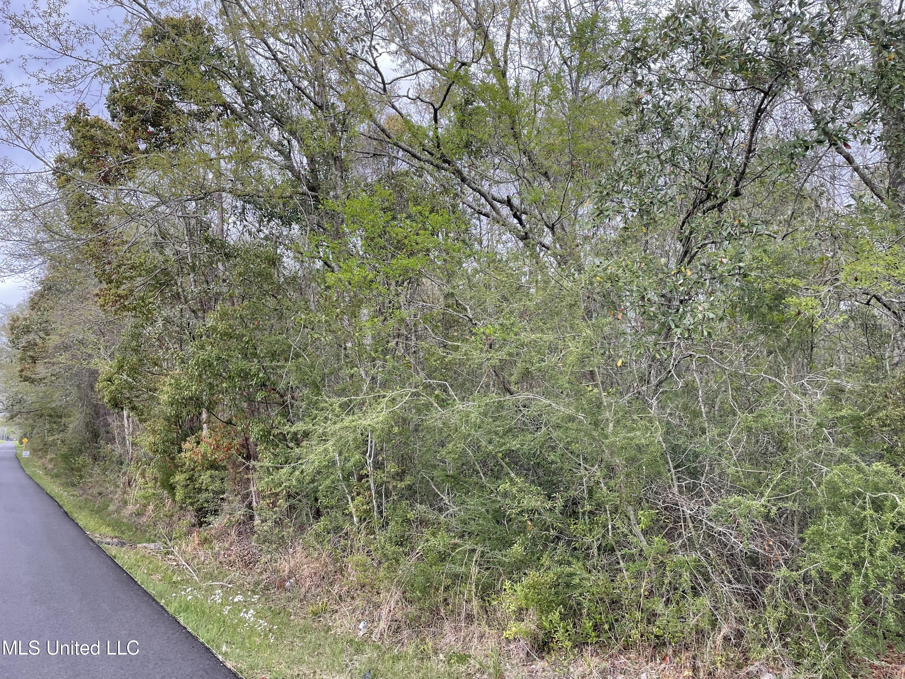 0 Horace Shumock Road Moss Point, MS 39562 - Photo 4 of 6 ADC09C39-7380-4ACC-9D8D-D9B2E09EFC9C