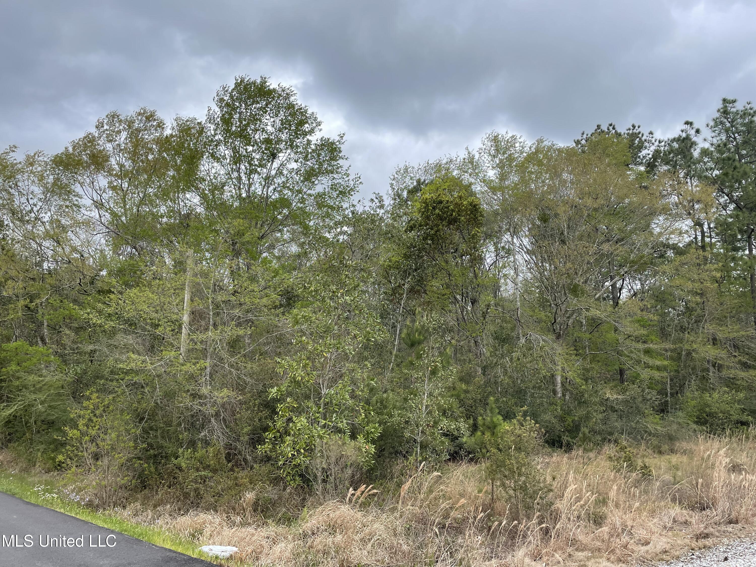 0 Horace Shumock Road Moss Point, MS 39562 - Photo 5 of 6 698AF051-4BDA-4536-9A41-F6A6A92BCEC1