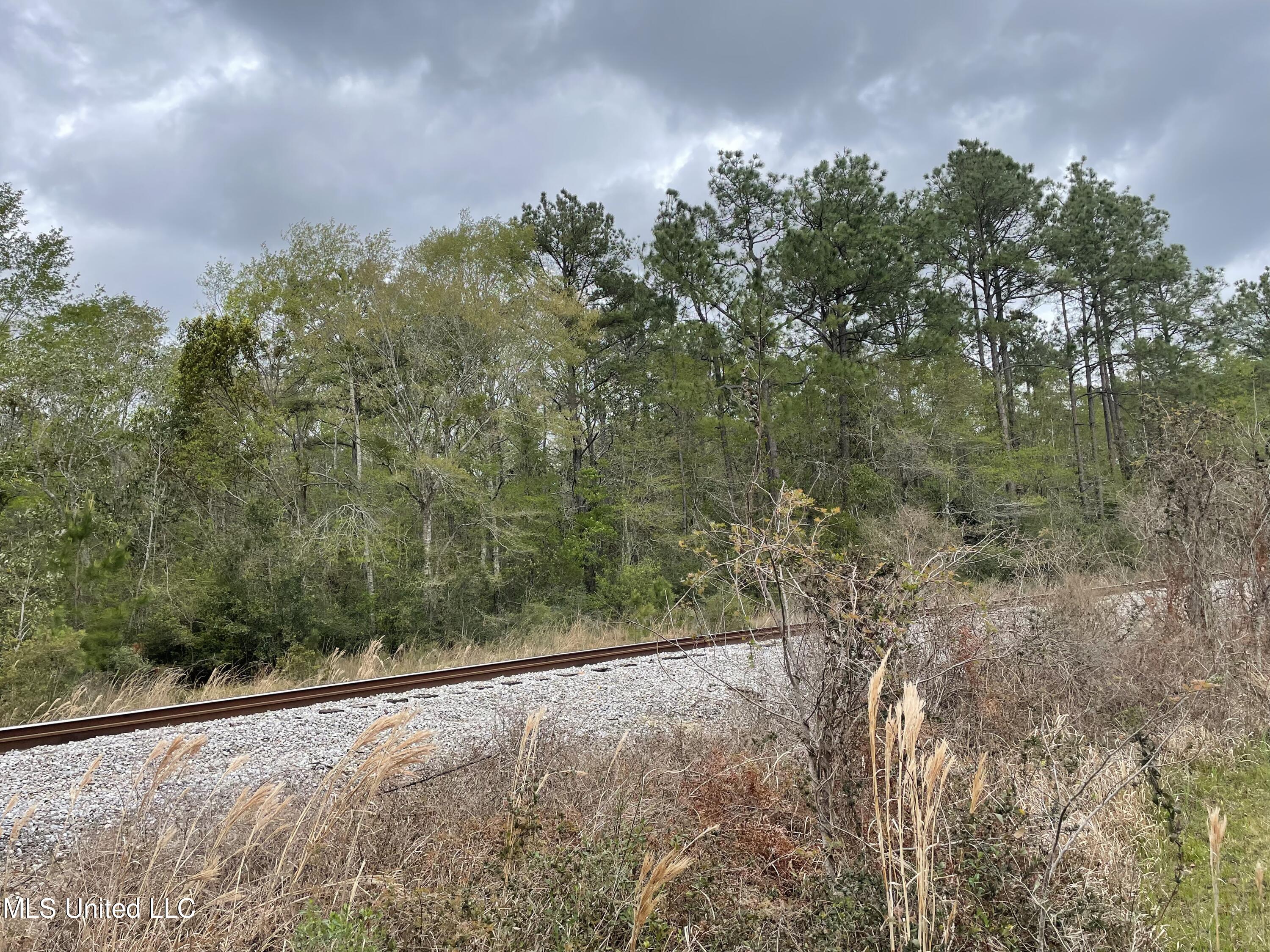 0 Horace Shumock Road Moss Point, MS 39562 - Photo 6 of 6 29126D6F-0984-46BE-8929-600DBC9C85BD