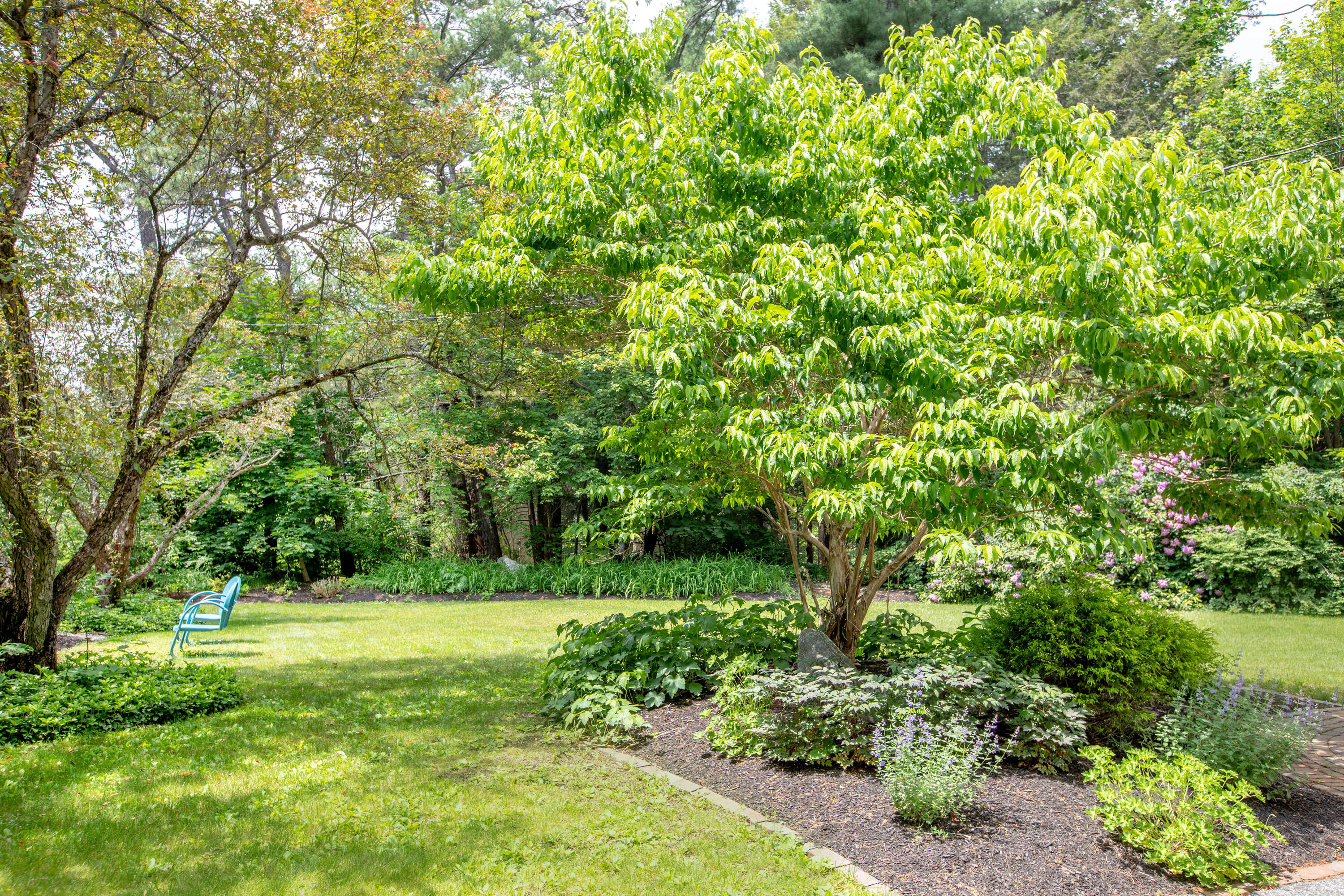 17 Meadowbrook Road Brunswick, ME 04011 - Photo 69 of 71 Well Landscaped