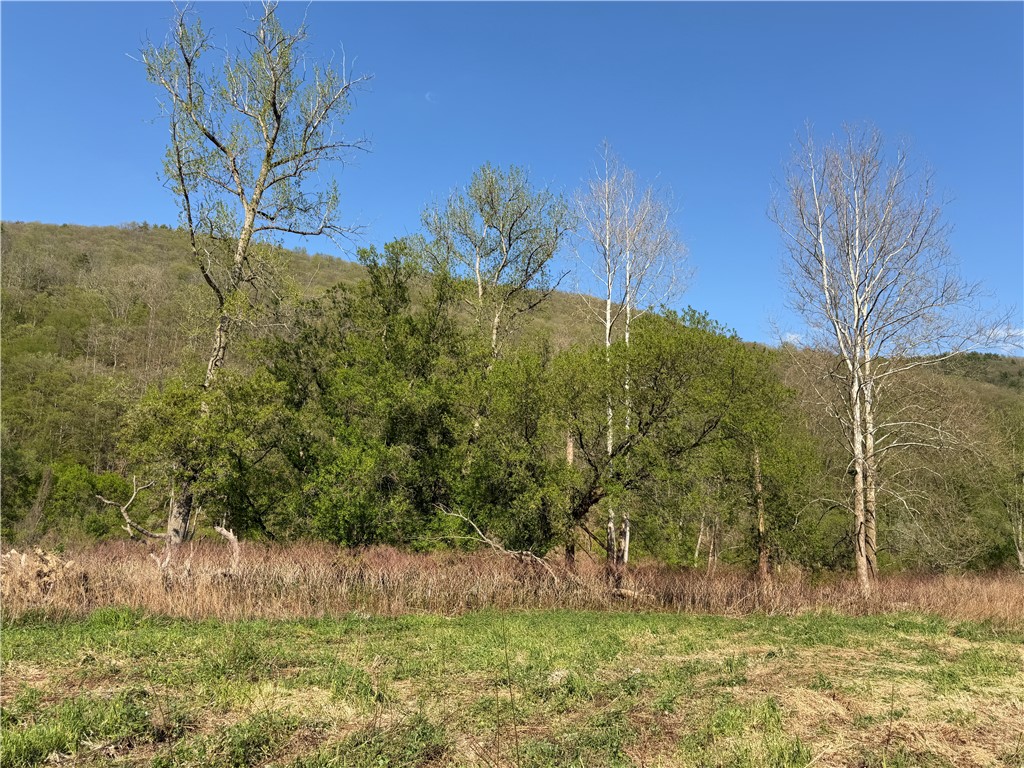 Lot 3 McChesney Road Cameron, NY 14819 - Photo 10 of 21