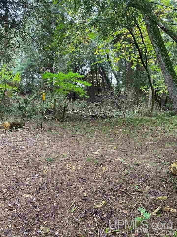 Tbd South Wiggins Point Trail Manistique, MI 49854 - Photo 13 of 18