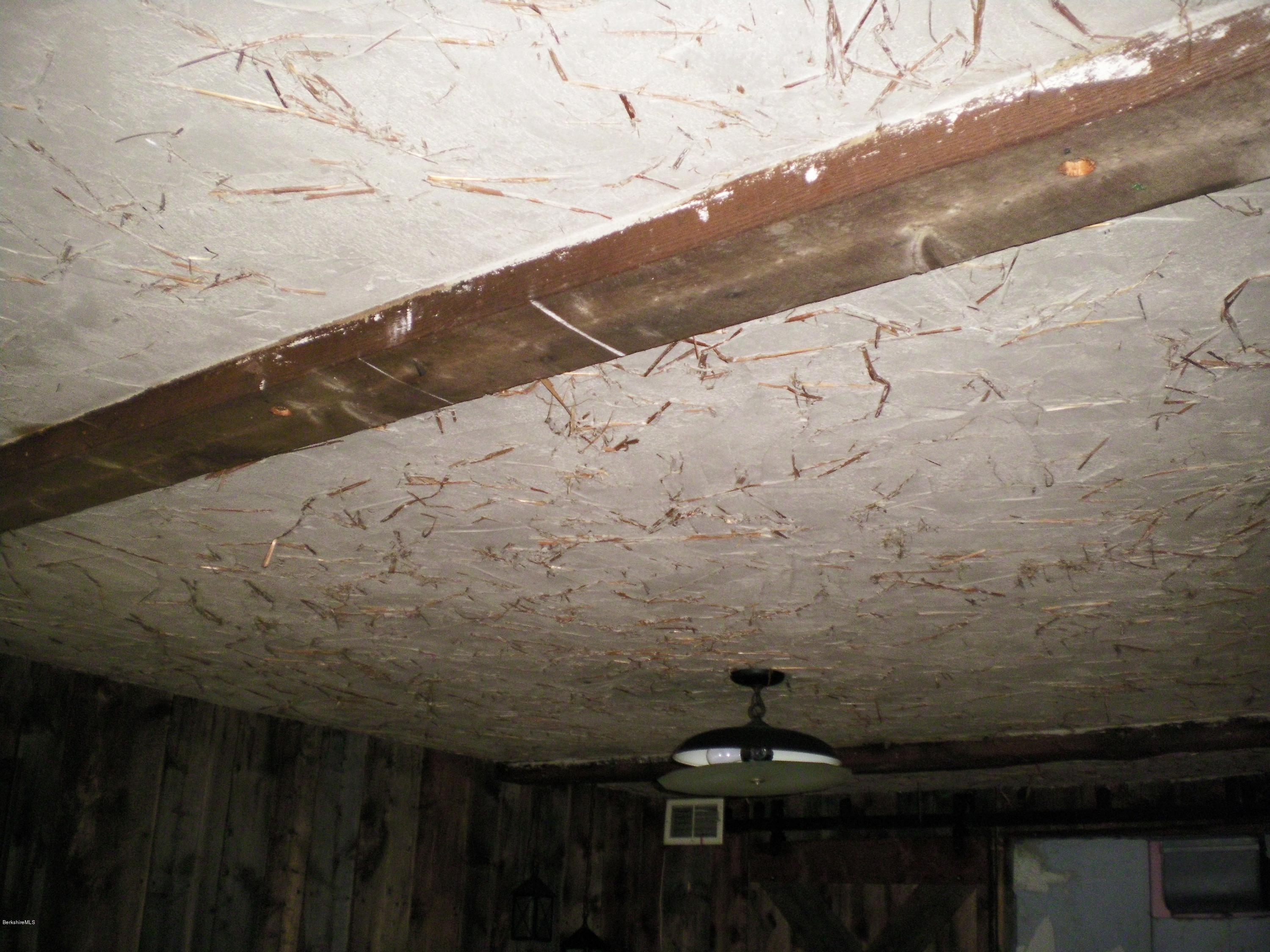 111 Johnson Road Dalton, MA 01226 - Photo 22 of 37 Unique Stucco Ceiling w/Hay