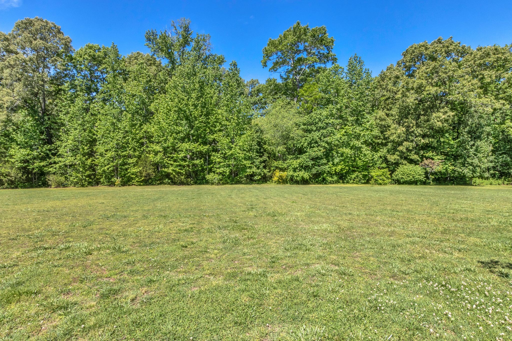2828 Bains Road Hillsboro, TN 37342 - Photo 39 of 41