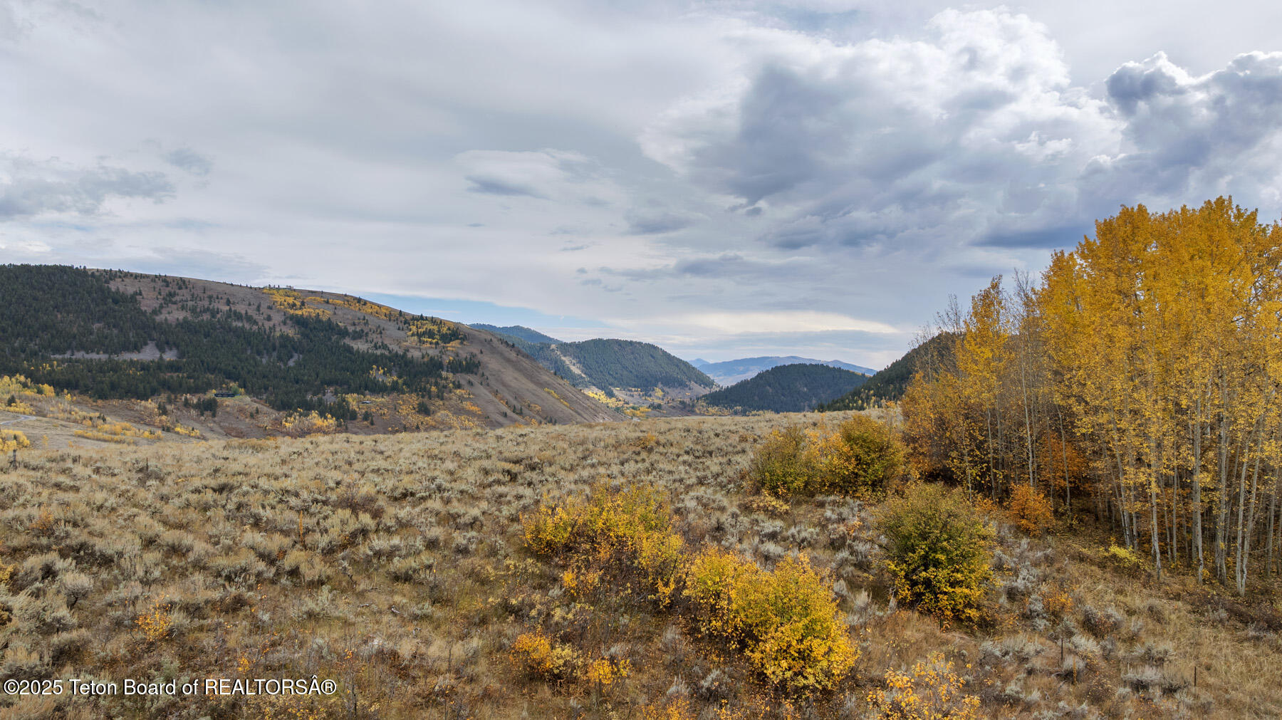 1850 West Bohnetts Road Jackson, WY 83001 - Photo 4 of 11 4 South View