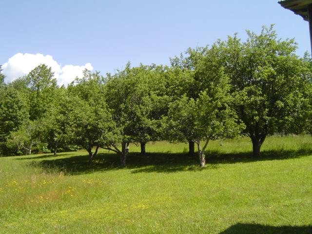 1370 Johnny's Ridge Road Ferrum, VA 24088 - Photo 21 of 24