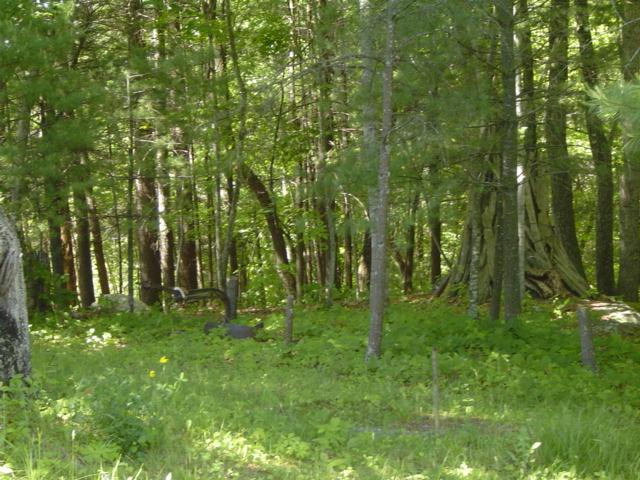 1370 Johnny's Ridge Road Ferrum, VA 24088 - Photo 22 of 24 a backyard of a house with lots of green space