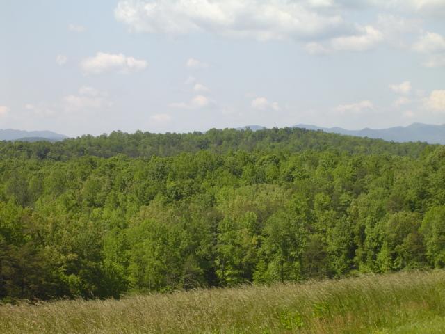1370 Johnny's Ridge Road Ferrum, VA 24088 - Photo 23 of 24 a view of a city and mountains
