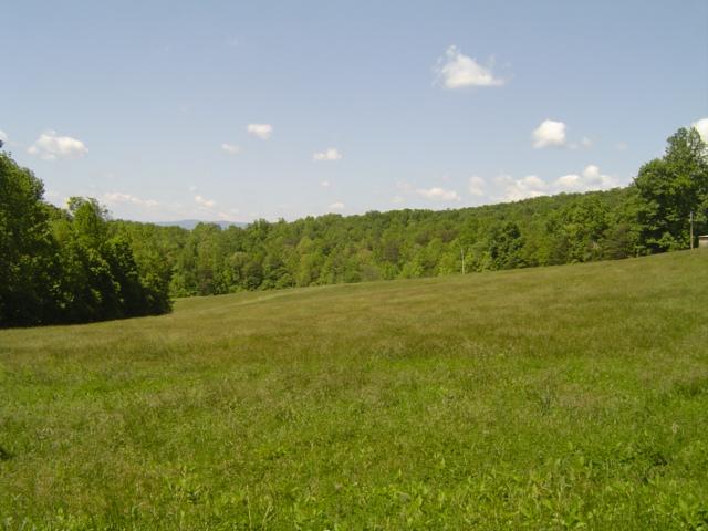 1370 Johnny's Ridge Road Ferrum, VA 24088 - Photo 24 of 24 a view of an ocean and yard