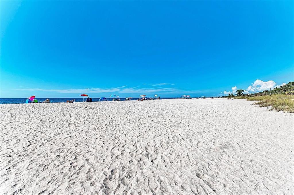 227 Lychee Road Nokomis, FL 34275 - Photo 26 of 36 a view of a beach with a ocean view