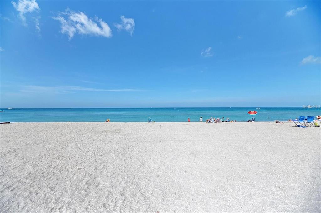 227 Lychee Road Nokomis, FL 34275 - Photo 28 of 36 a view of an ocean beach