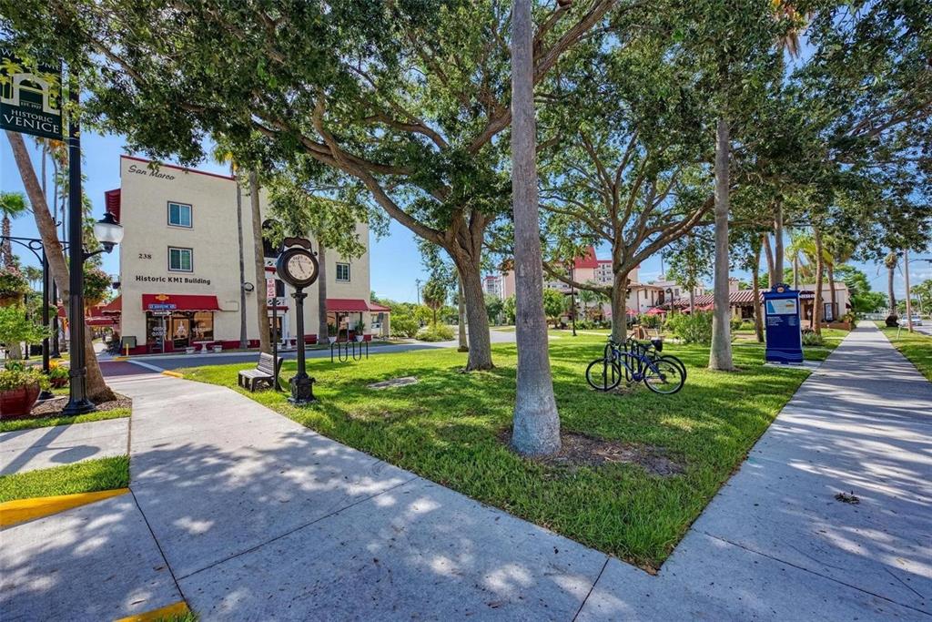227 Lychee Road Nokomis, FL 34275 - Photo 32 of 36 a view of a park with plants and a large tree