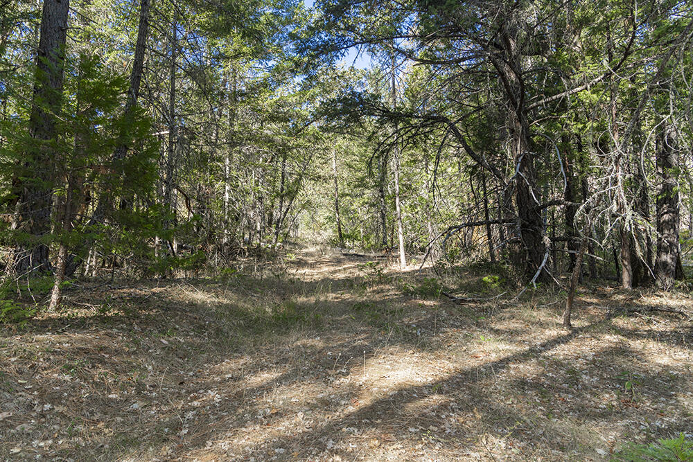 950 Bear Creek Road Selma, OR 97538 - Photo 24 of 36 IMG_5113