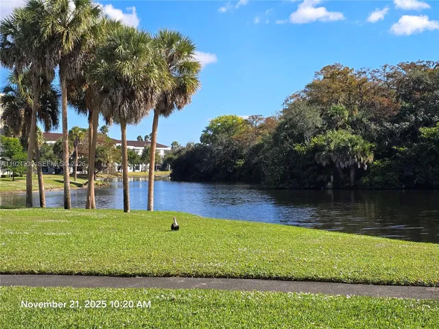 a view of a swimming pool with a garden