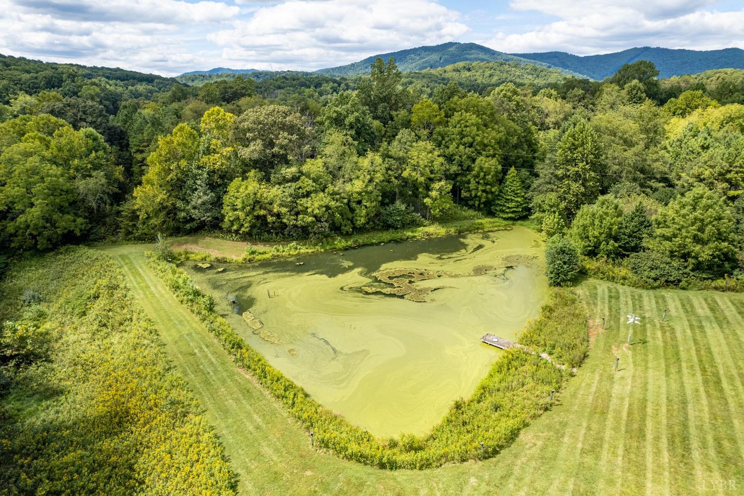1940 Coffee Road Lynchburg, VA 24503 - Photo 46 of 52