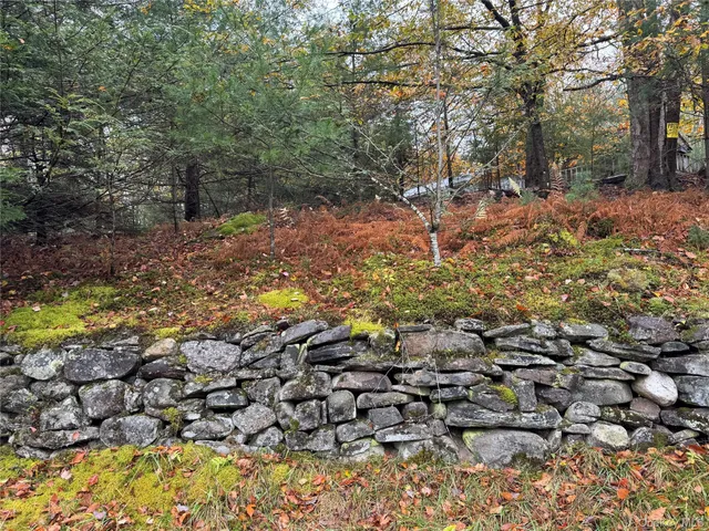 a view of a tree with a yard