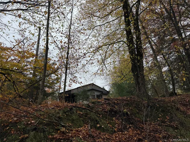 a view of a back yard of the house