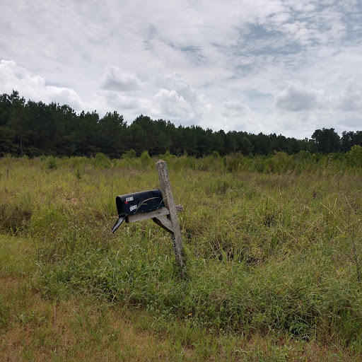 638 Target Road Holly Hill, SC 29059 - Photo 2 of 4 target rd photo 3