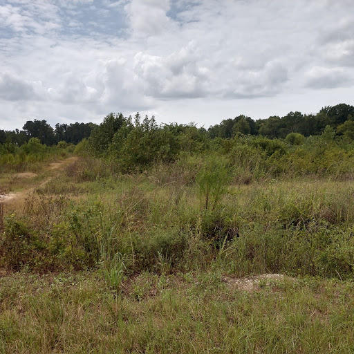 638 Target Road Holly Hill, SC 29059 - Photo 3 of 4 target rd photo 2 karen b