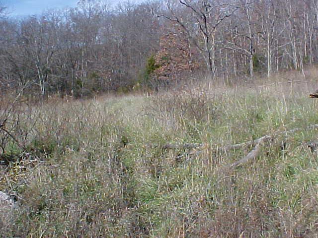 0 Knotts Road Mountain Grove, MO 65711 - Photo 1 of 1 Primary Photo