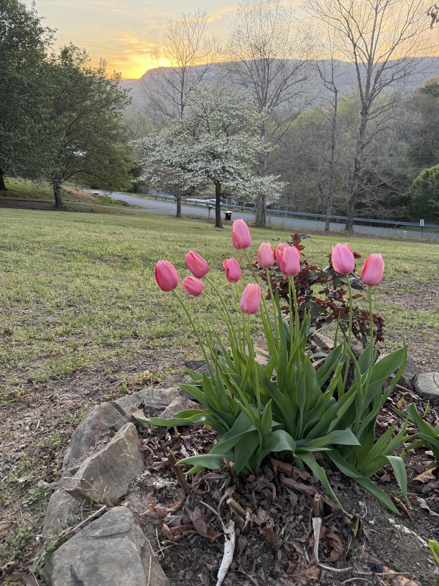 347 Highland Drive Dunlap, TN 37327 - Photo 27 of 29 IMG_0680