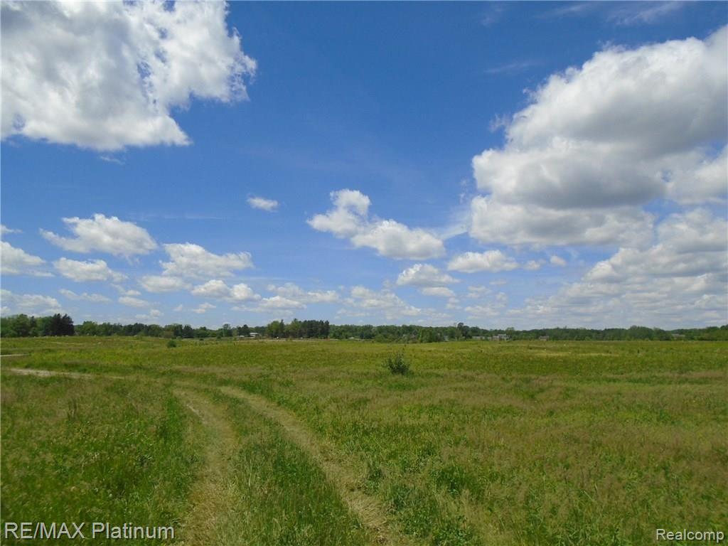 Parcel G Hacker Road Howell, MI 48843 - Photo 1 of 14