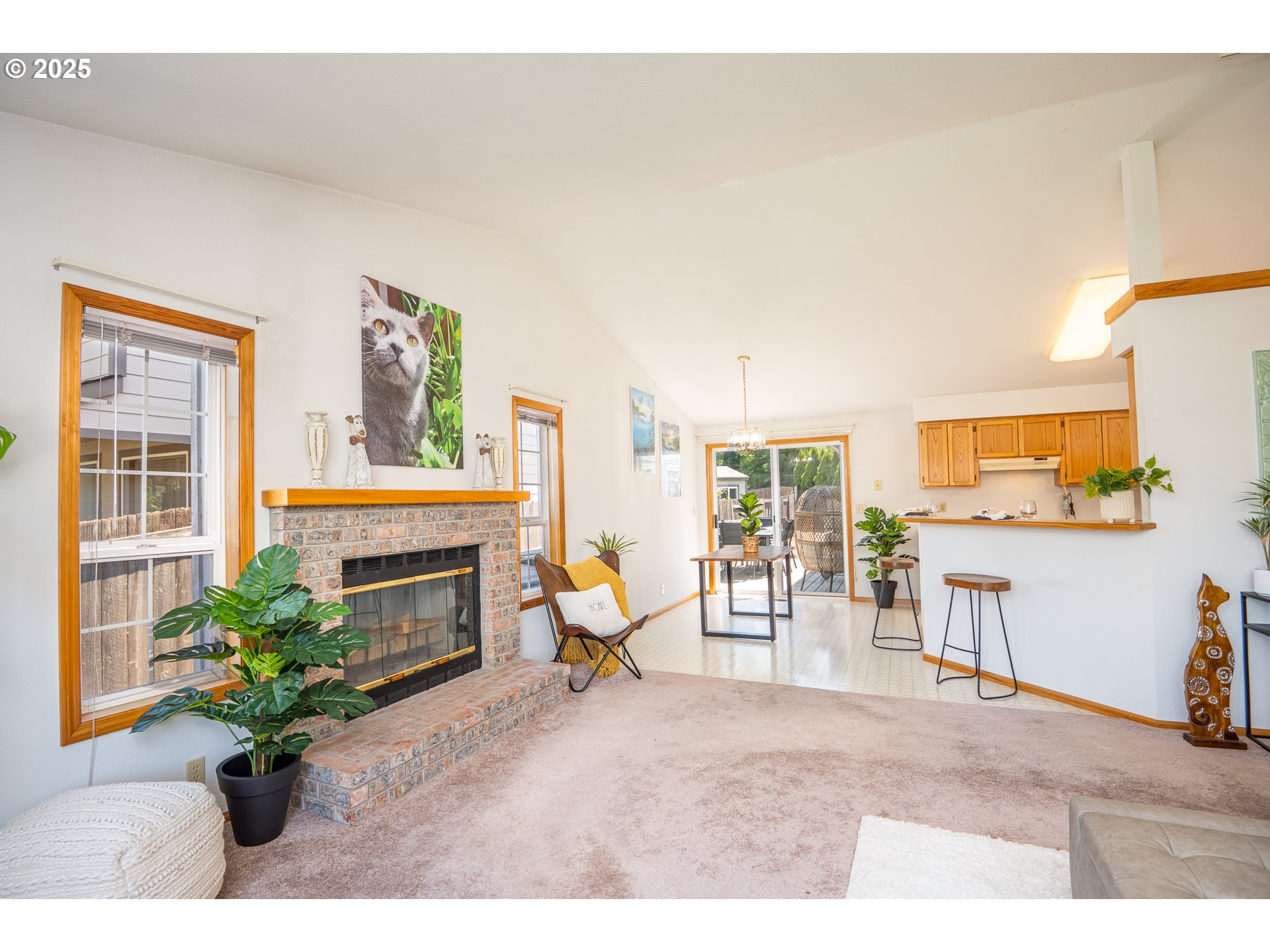 5669 D Street Springfield, OR 97478 - Photo 7 of 30 a living room with furniture a fireplace and potted plants