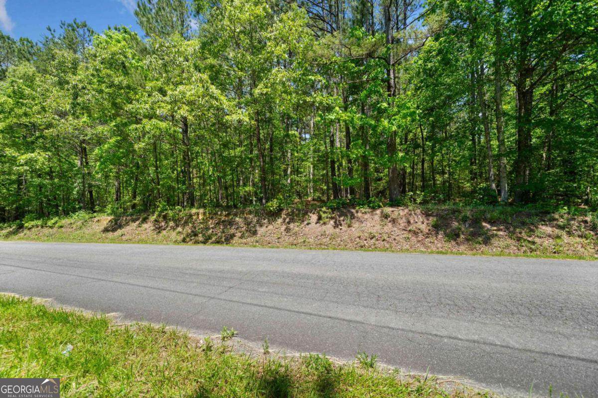 0 Timberwood Road Northwest, Unit 3 White, GA 30184 - Photo 4 of 25